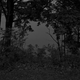 Untitled #24 (At Lake Erie)